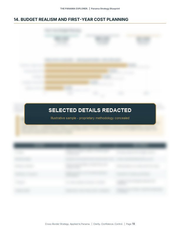 Redacted sample Blueprint page showing the Budget Realism and First-Year Cost Planning structure